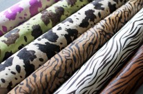 Various Patterns on Cow Hides