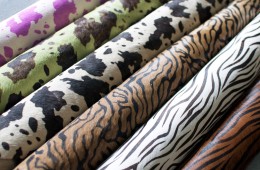 Various Patterns on Cow Hides