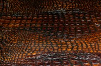Croco Embossed Leather