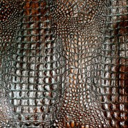Croco Embossed Leather
