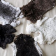 Rabbit Fur