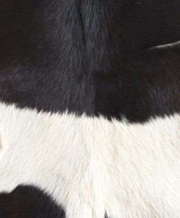 cow fur