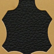Black Uruguay