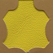 Extralux Yellow