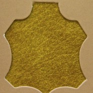 Fiore Sauvage 1080
