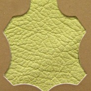 Giallo 1264