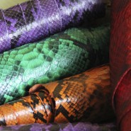 Our Snake Skin Collection