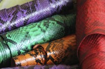 Our Snake Skin Collection