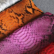 Various Snake Skin Colors