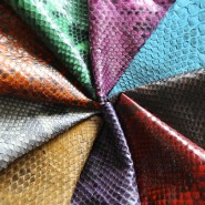 Beautiful Snake Skin Colors Selection