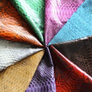 Beautiful Snake Skin Colors Varieties