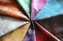 Beautiful Snake Skin Colors Varieties