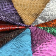Various Snake Skin Colors