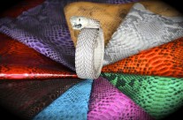 Various Snake Skin Colors with Real Snake Belt