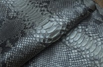 Black Snake Skin