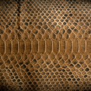 Brown Snake Skin