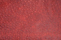 Pista Ostrich Maroon – (Cow Embossed Ostrich Leather)