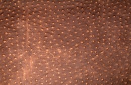 Pista Ostrich Brown – (Cow Embossed Ostrich Leather)