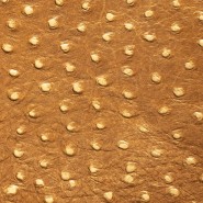 Pista Ostrich Cream – (Cow Embossed Ostrich Leather)