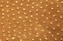 Pista Ostrich Cream – (Cow Embossed Ostrich Leather)