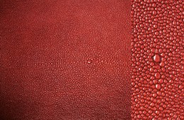 Pista Sting Ray Maroon – (Cow Embossed Sting Ray Leather)