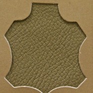 Madras Chestnut