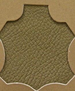 Madras Chestnut