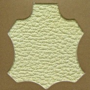 Madras Cream T/T 114