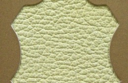 Madras Cream T/T 114