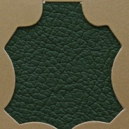 Madras Green 116