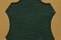 Madras Green TC