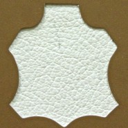 Madras Ivory