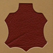 Madras Red TC
