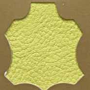 Madras Yellow 115