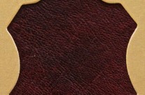 Redwine Sauvage 1081