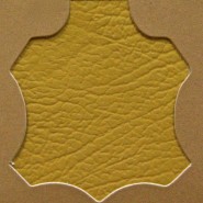 Tan Light Brown UK